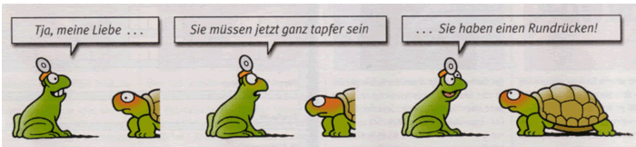 schildkroete.gif
